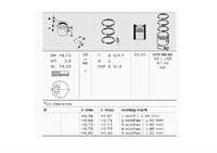 MOTOR PISTON SEGMAN EXPERT JUMPY SCUDO P306 XSARA P406 XANTIA P405 P806 EVESION XUD9T 1,9TD 83,00MM (STD)