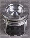 MOTOR PISTON SEGMAN (88,00MM) / (STD) DUCATO DAILY KARSAN J10 2,3JTD (EURO IV F1AE0481D)