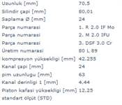 MOTOR PISTON+SEGMAN R19 EXPRES KANGOO DIZEL CUKURLU 1.9D F8Q (80.00MM) / (STD) (ALFINSIZ)