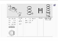 MOTOR PISTON SEGMAN P206 P307 P207 P1007 C2 C3 C3 II C4 ET3J4 (1,4 16V) 75,00MM (STD)