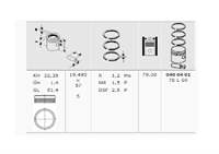 MOTOR PISTON SEGMAN P307 P206 PARTNER II BERLINGO II C3 C4 TU5JP4 (1,6 16V) 79,00MM (0,50 FARKLI)